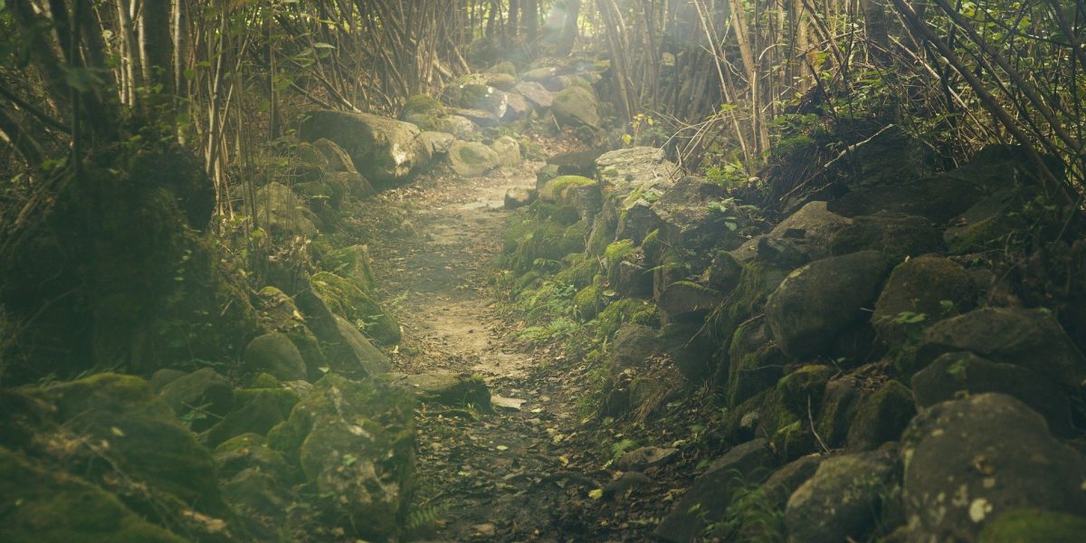 En route pour de nouvelles aventures...