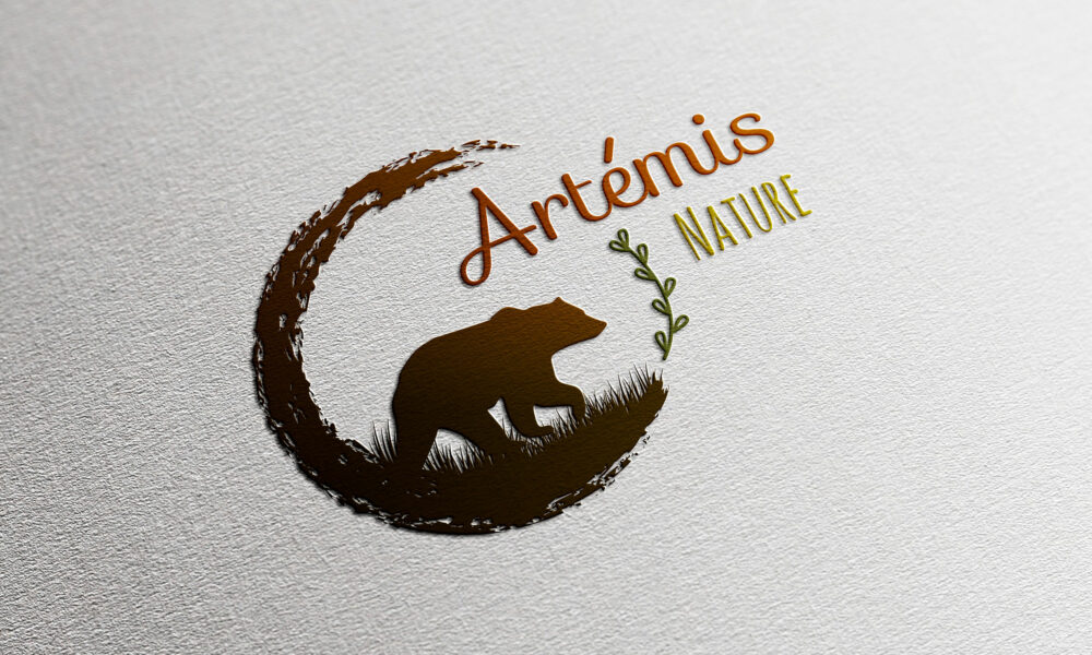 Création d'un logo pour une nouvelle entreprise